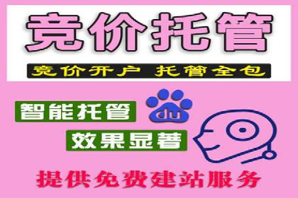 百度推广服务费案例分析：成功背后的秘密